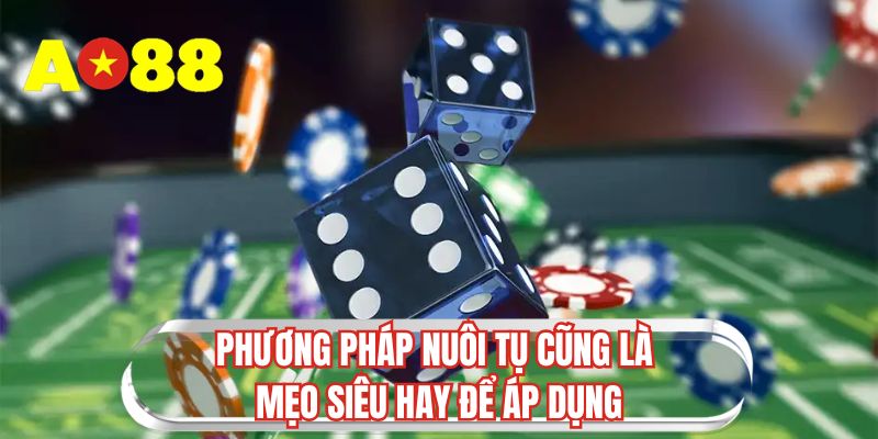 Phương pháp nuôi tụ cũng là mẹo siêu hay để áp dụng